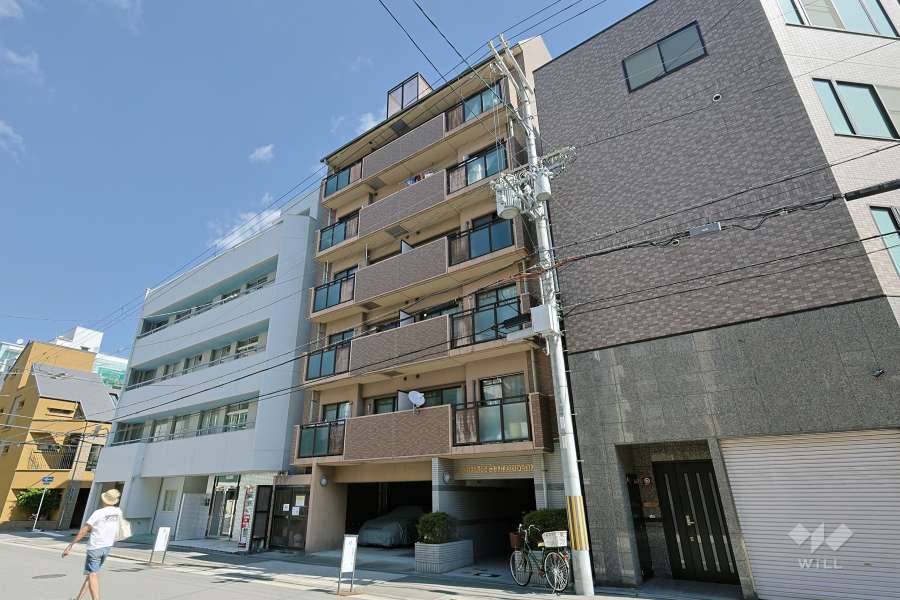 ダイアパレス清水谷の外観（南西側から）