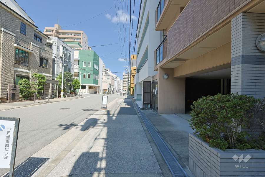敷地の西側前面道路（南側から）