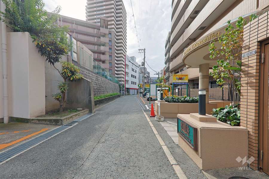 敷地の東側前面道路（北側から）