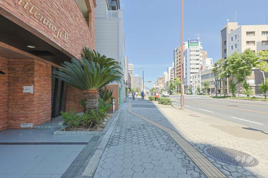 敷地東側の前面道路