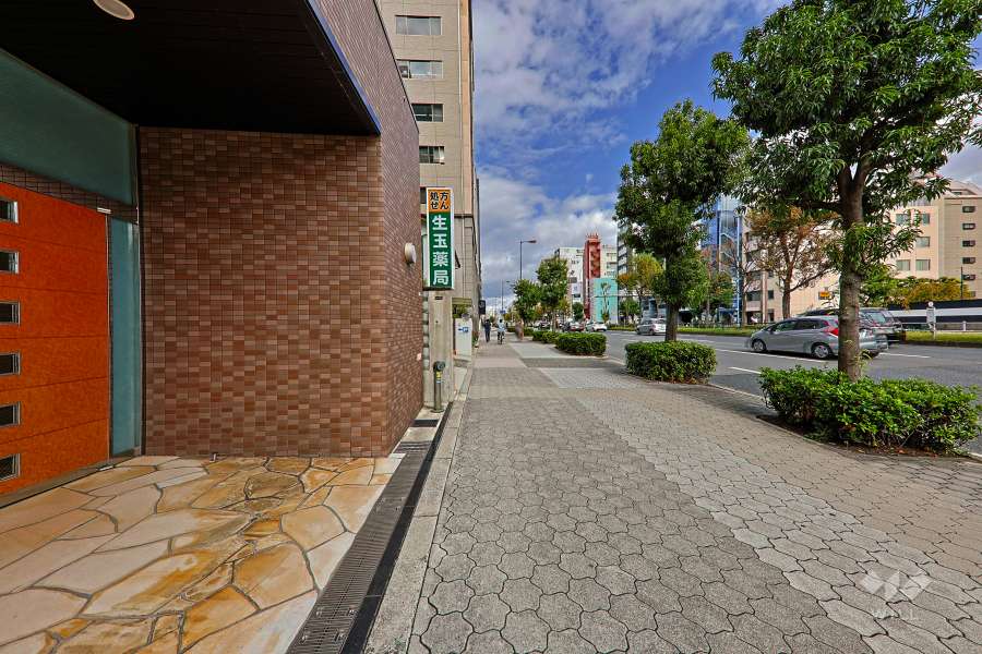 敷地東側の前面道路（南側から）