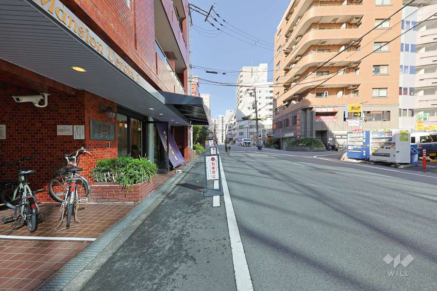 敷地北側の前面道路（東側から）