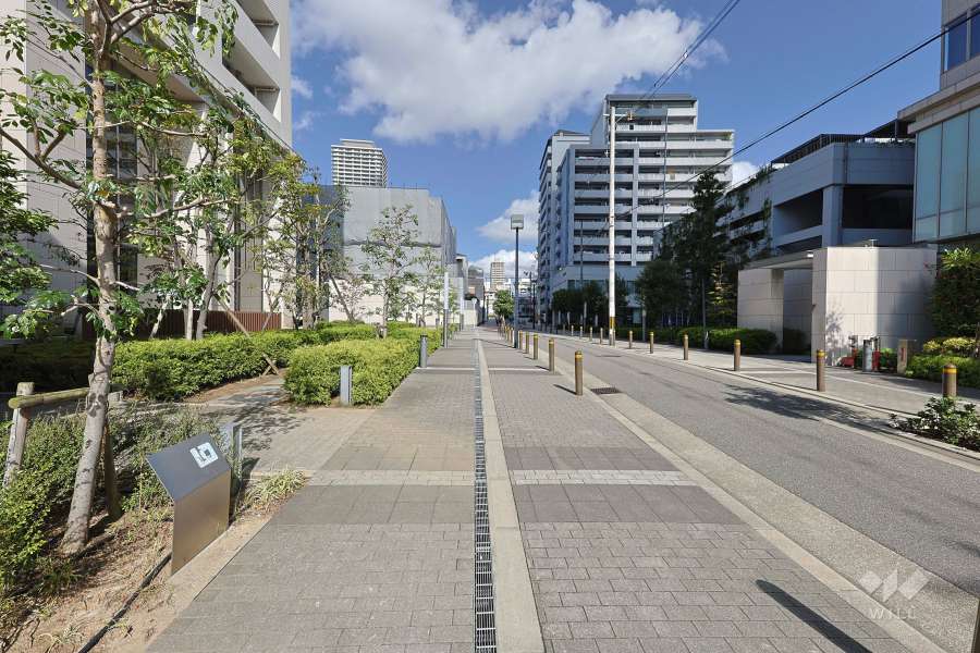 敷地東側の前面道路　