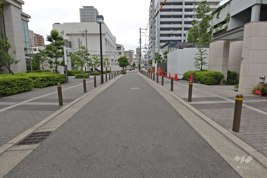 敷地西側の前面道路（南側から）