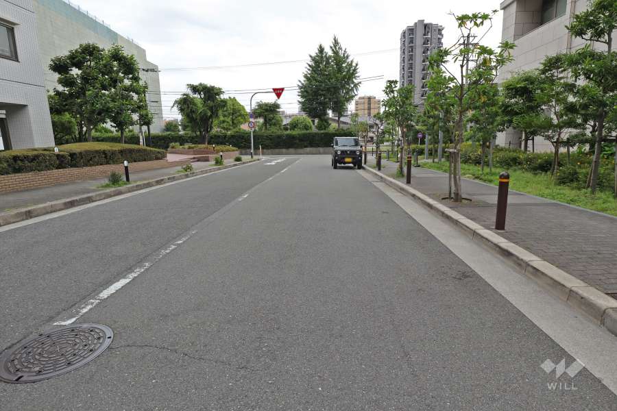 敷地東側の前面道路（北側から）