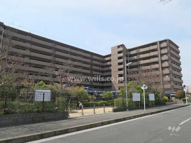 敷地北側に隣接して小さな公園があります。