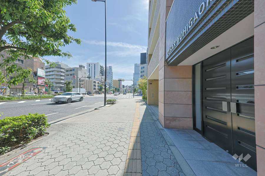 敷地の東側前面道路（北側から）