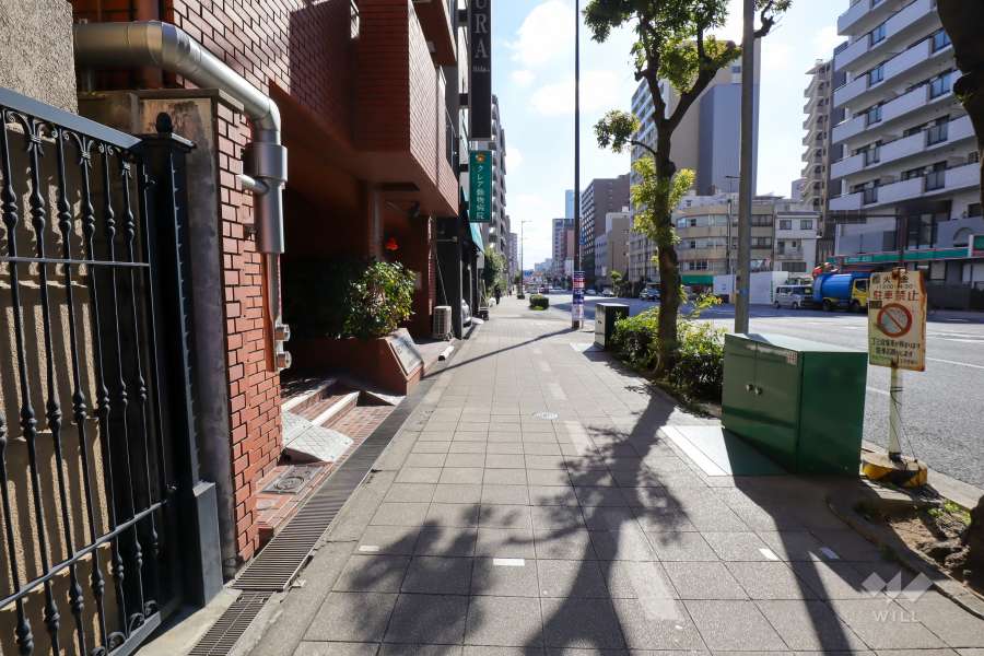 敷地西側の前面道路（北側から）