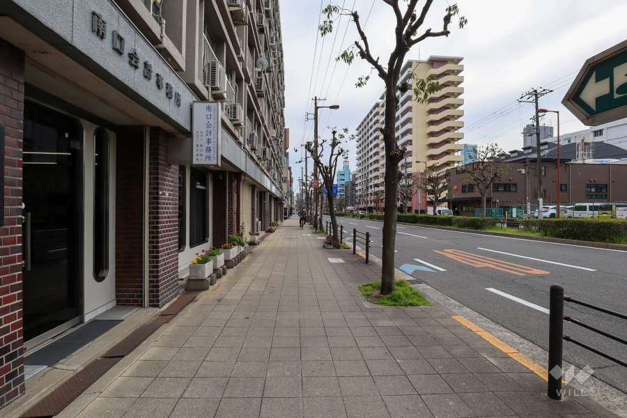 敷地内西側の前面道路（北側から）