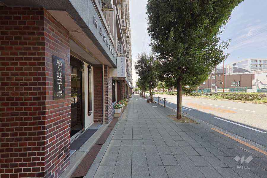 敷地の西側前面道路（北側から）