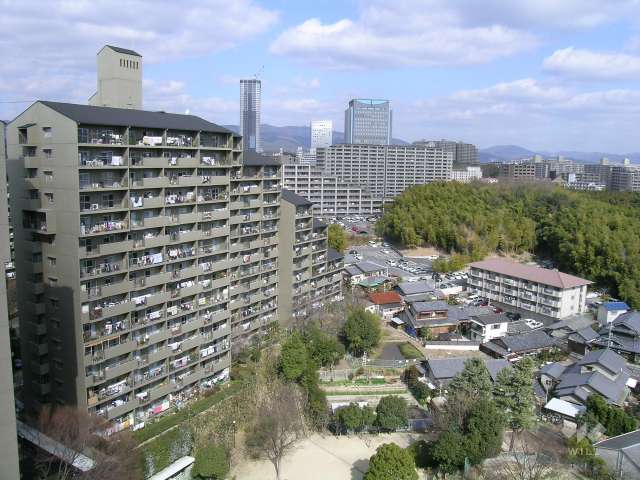 敷地の東側には竹林も残っています