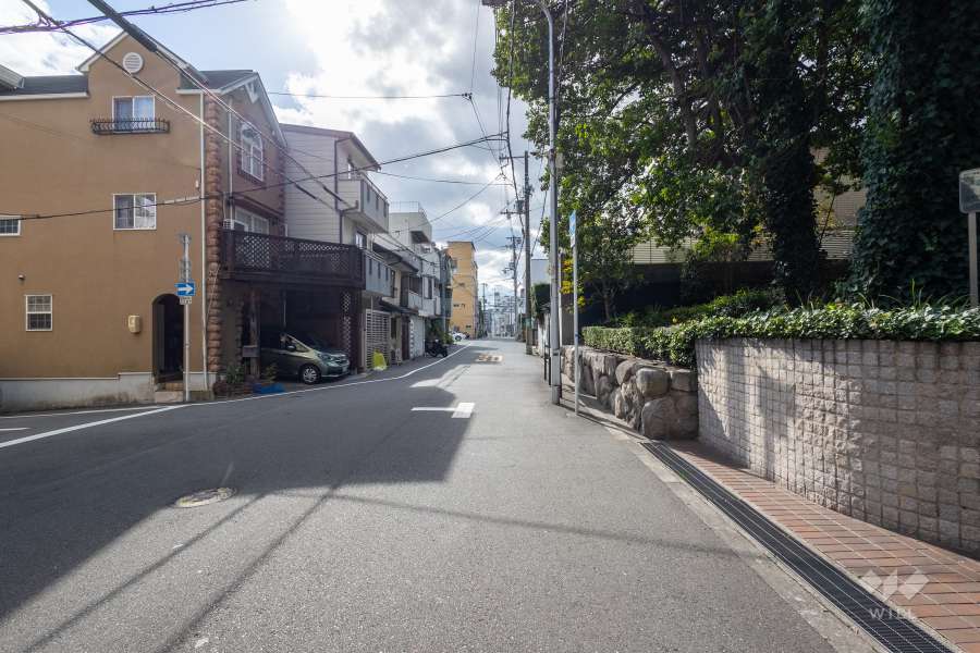 敷地の東側前面道路（北側から）