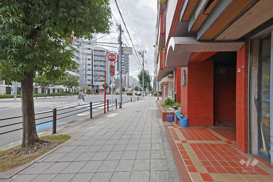 敷地東側の前面道路（北側から）