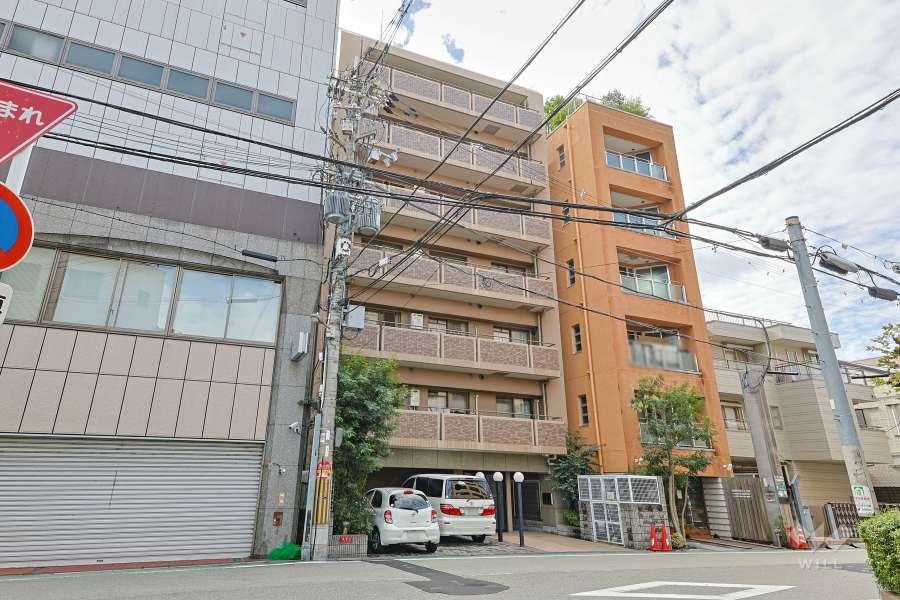 藤和シティホームズ四天王寺前の外観（北東側から）