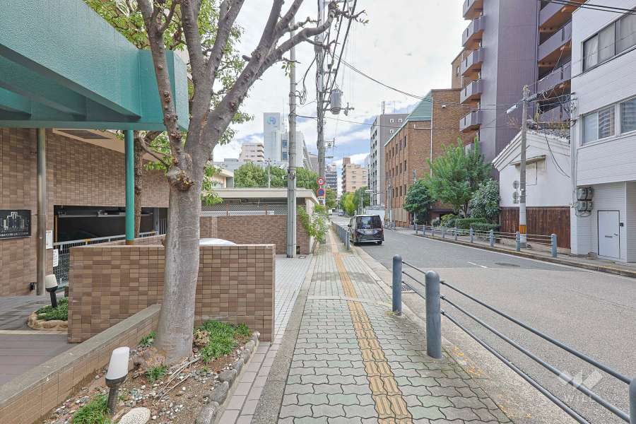敷地南側の前面道路