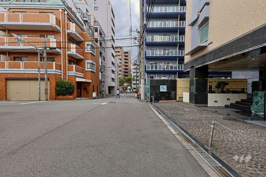 敷地の北側前面道路（西側から）