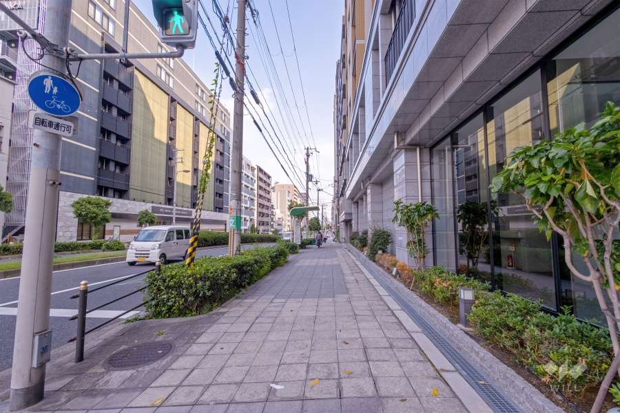 敷地北側の前面道路（西側から）