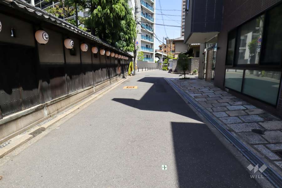 敷地南側の前面道路（西側から）