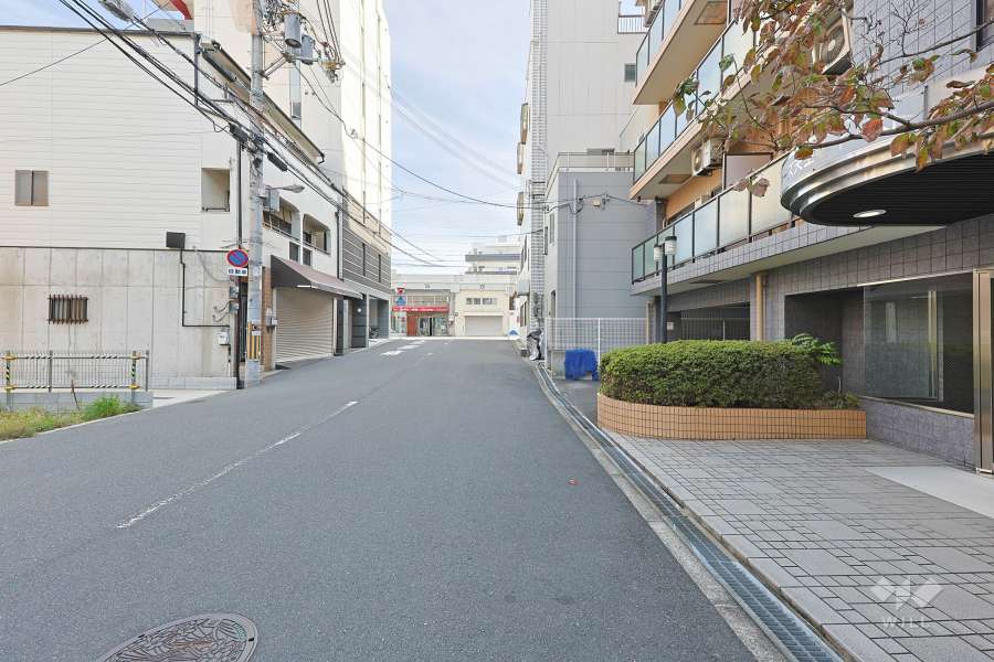 敷地北側の前面道路　