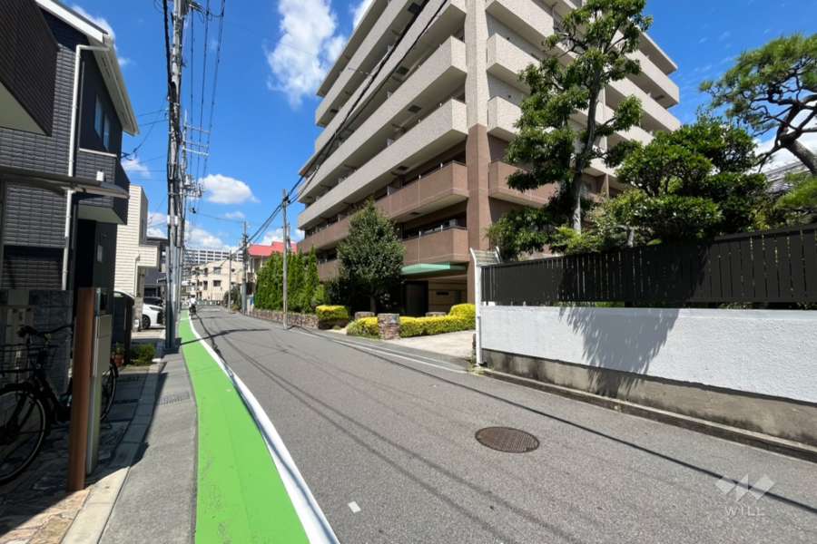 敷地南側の前面道路(東側から)