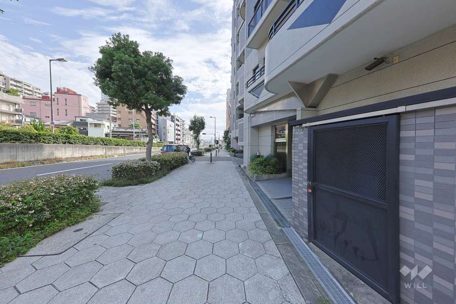 敷地北側の前面道路