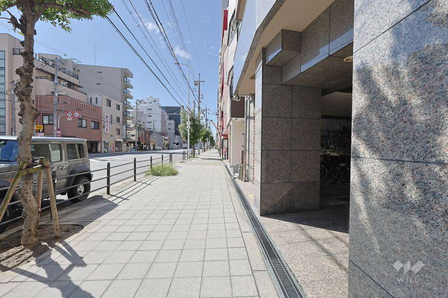 敷地の東側前面道路（北側から）