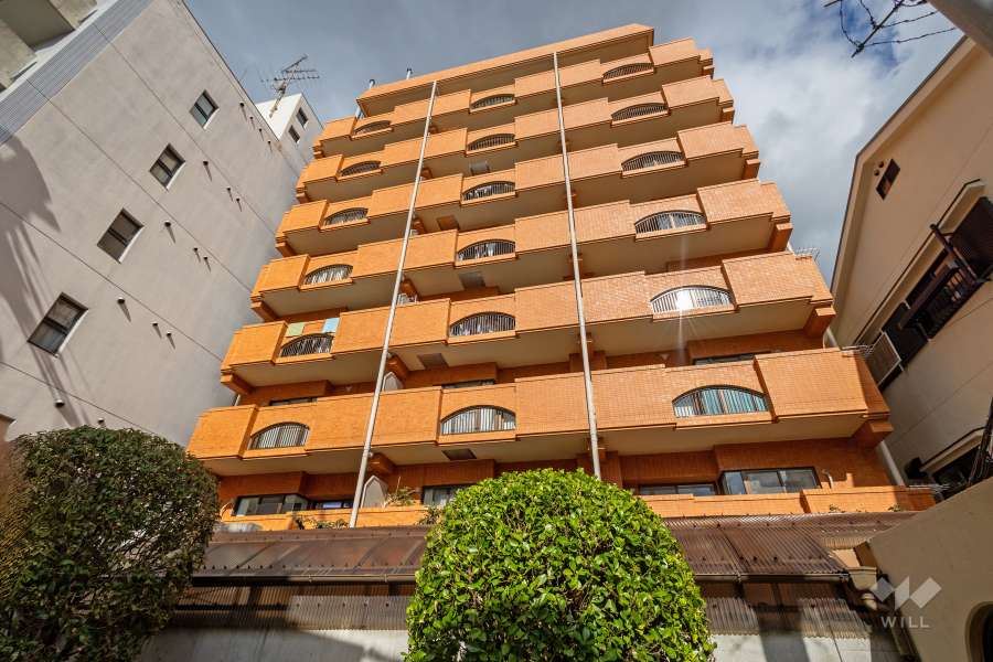 ノバカネイチ天王寺2番館の外観（南東側から）