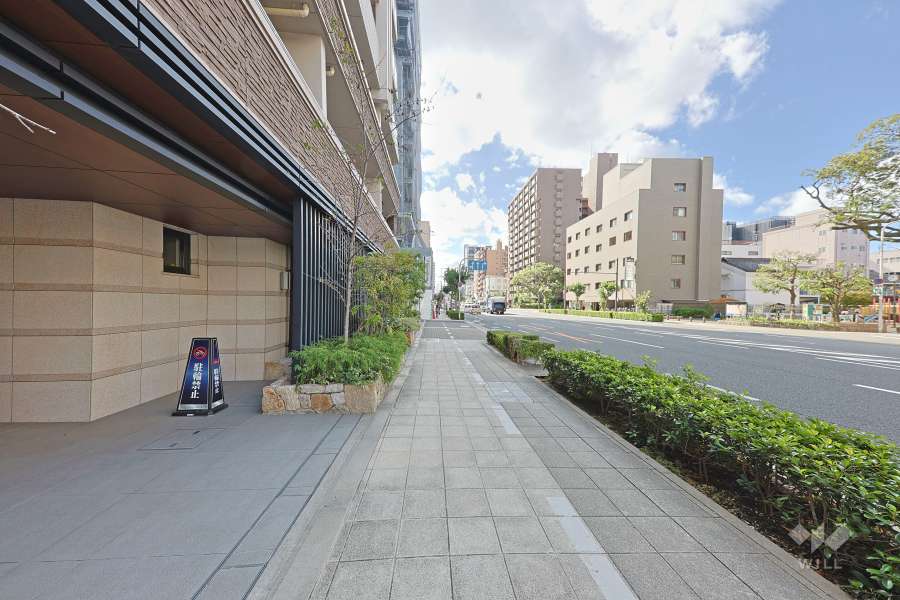 敷地西側の前面道路（北側から）