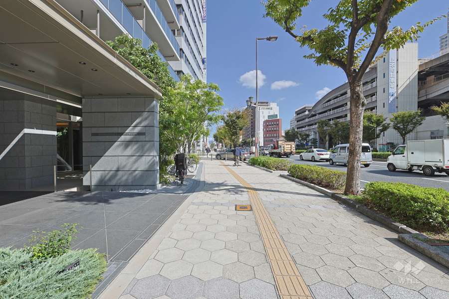 敷地南側の前面道路