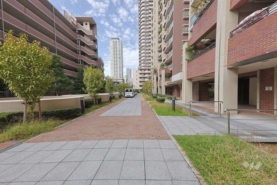 敷地の南側前面道路（東側から）