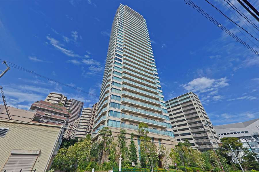 リバーガーデンタワー上町台筆ヶ崎の外観（南東側から）