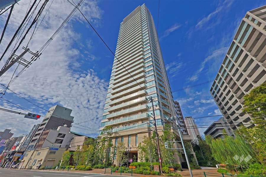 リバーガーデンタワー上町台筆ヶ崎の外観（北東側から）