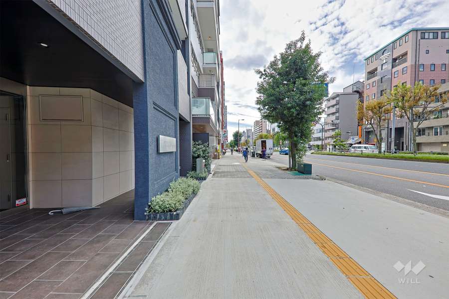 敷地西側の前面道路（北側から）