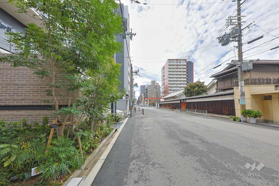 敷地の西側前面道路（北側から）