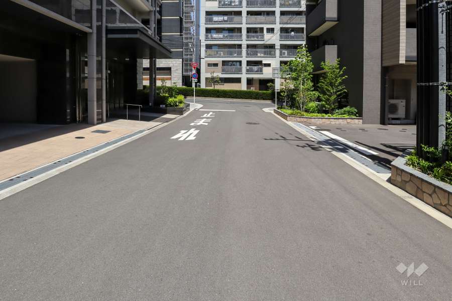 敷地西側の前面道路（南側から）