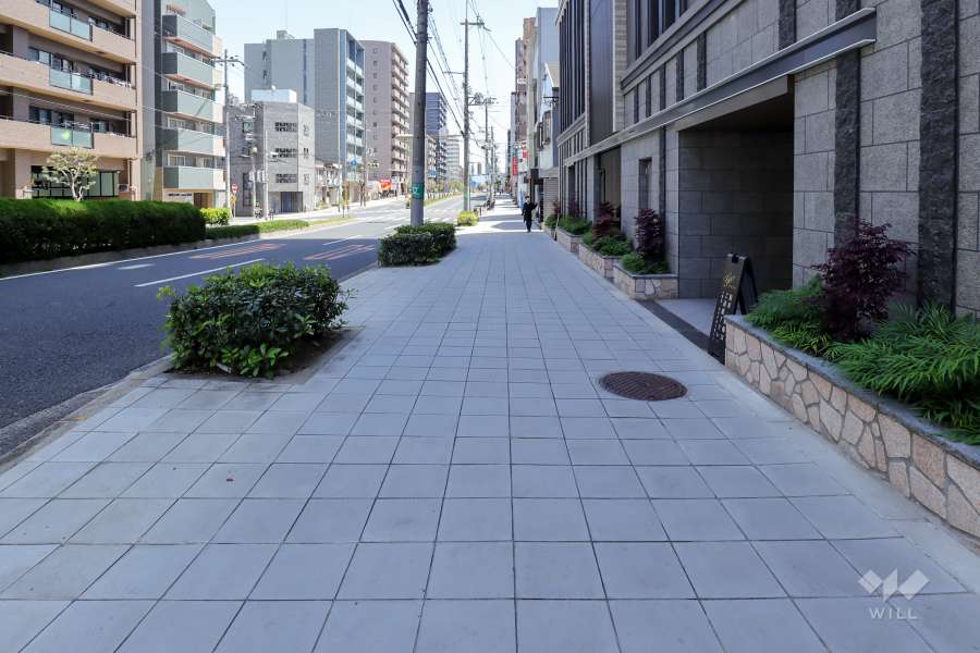 敷地北側の前面道路（西側から）