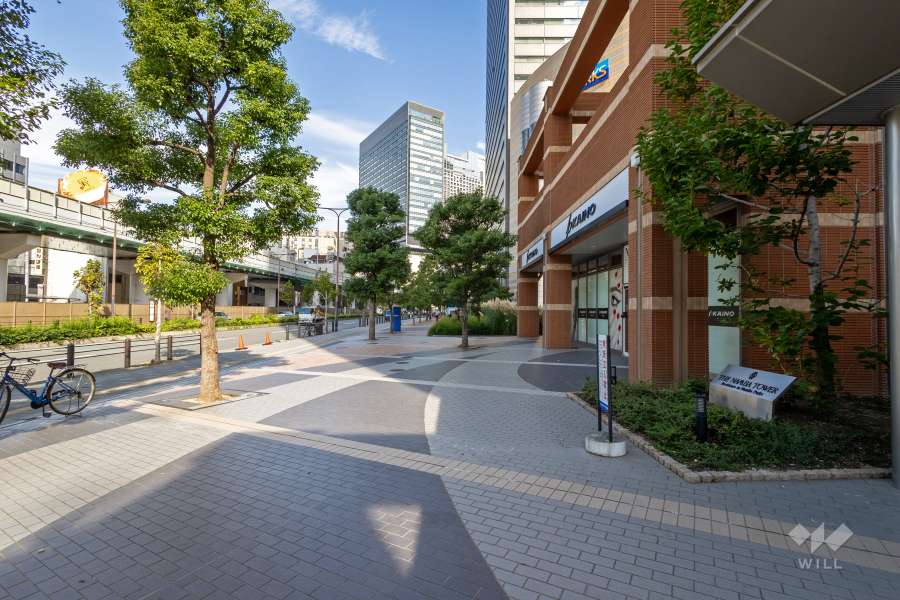 敷地西側の前面道路（南側から）