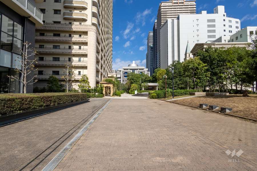 敷地東側の前面道路　