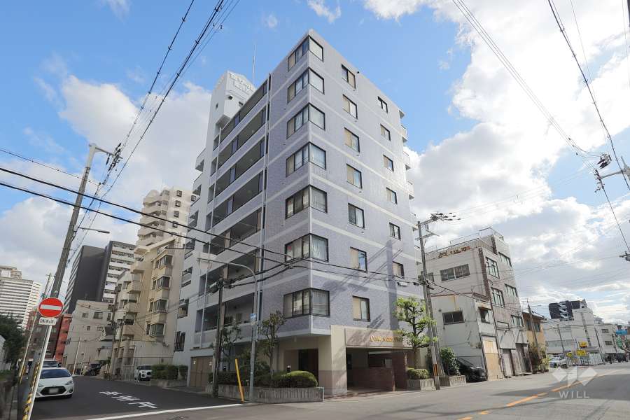 セザール難波西の外観（北西側から）