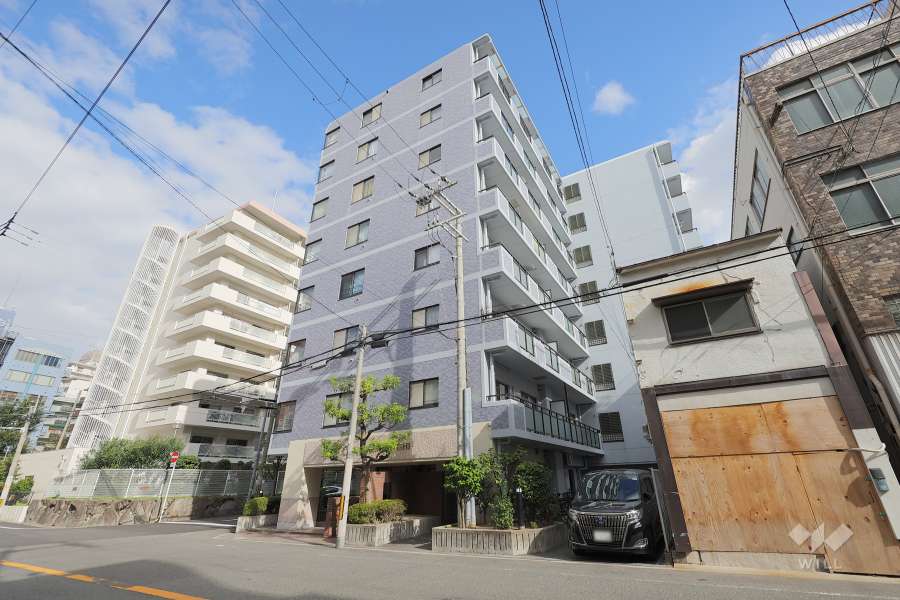 セザール難波西の外観（南西側から）