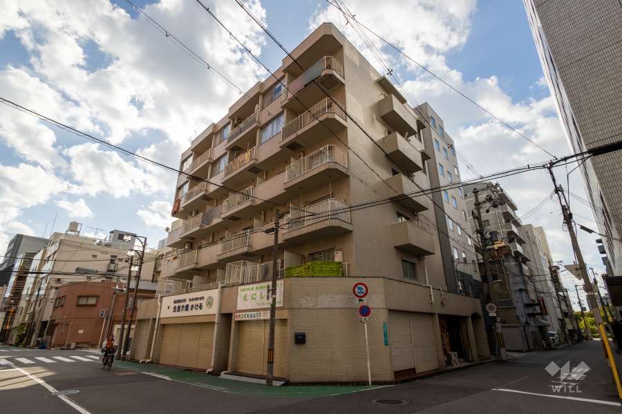 ダイアパレス難波の外観（北東側から）