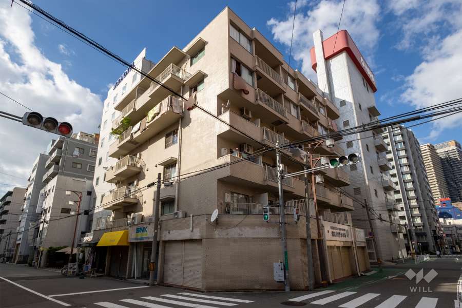 ダイアパレス難波の外観（南東側から）