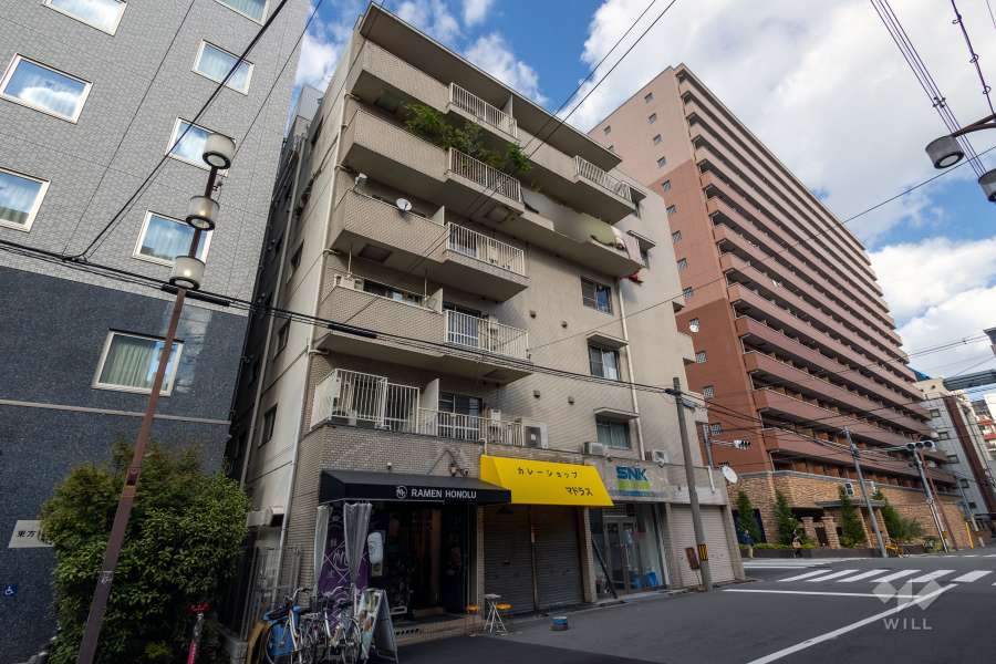 ダイアパレス難波の外観（南西側から）