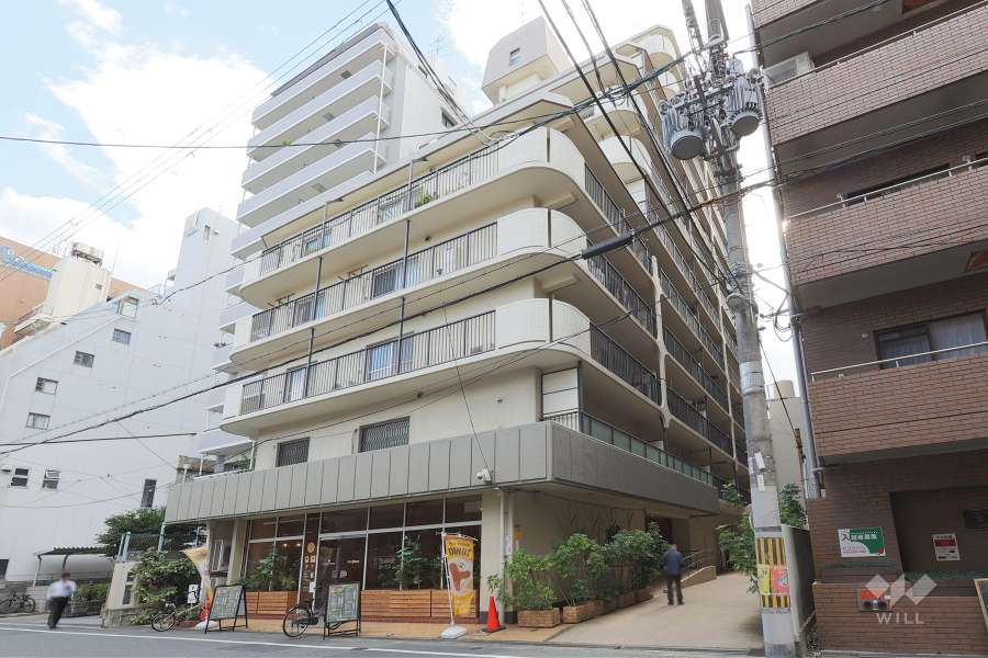 ウィンザーハイム難波の外観（北西側から）