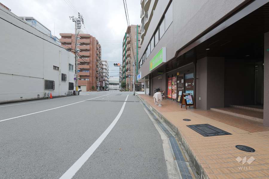 敷地の南側前面道路（東側から）
