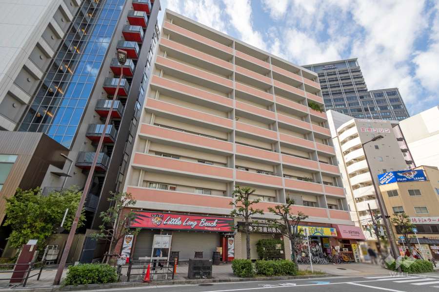 ロアジール難波の外観（南東側から）