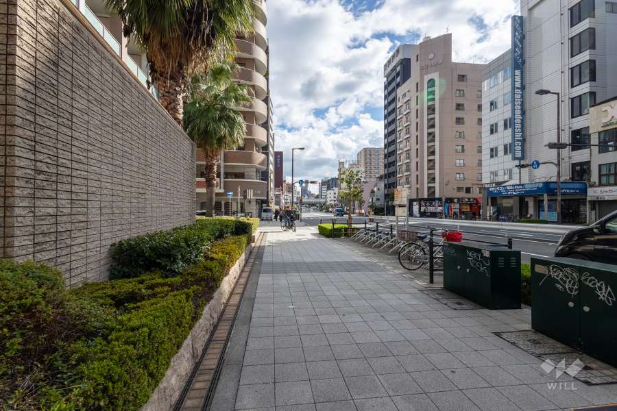 敷地の南側前面道路（西側から）