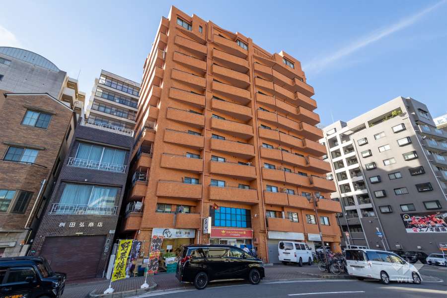 ライオンズマンション難波南の外観（南東側から）