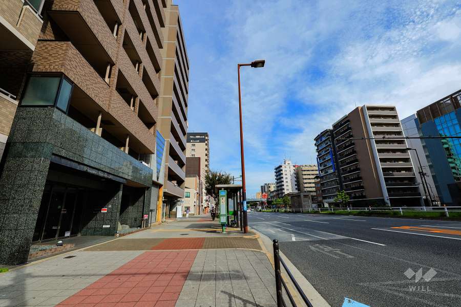 敷地南東側の前面道路（南西側から）