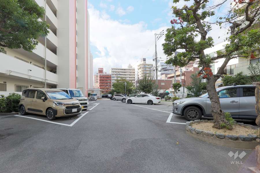 敷地内駐車場（屋外平面式）